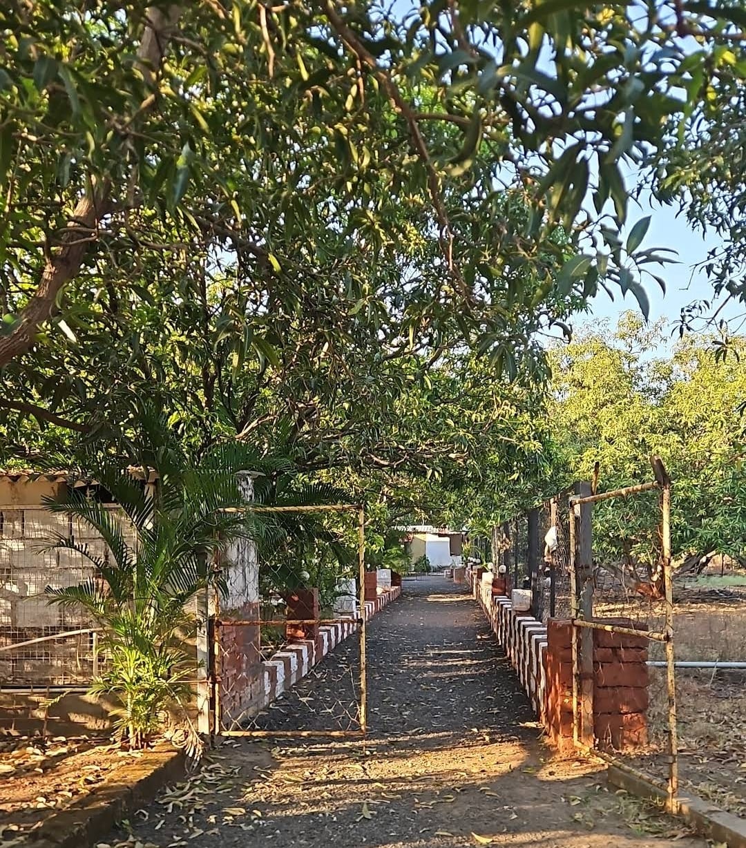 Lion's Cave Resort photo 8